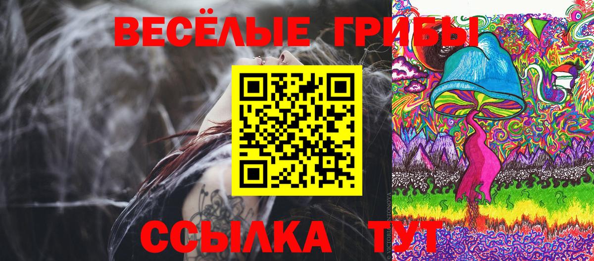 цена наркотик  Псилоцибиновые грибы Psilocybe  Вход с VPN  Моздок  Псилоцибиновые грибы Magic Shrooms 